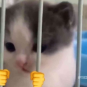 :catserving30yearsinprisionforfirstdegreearson