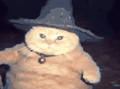 :fatasswizardcastsafireballonyou