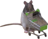 :shopping :shopping