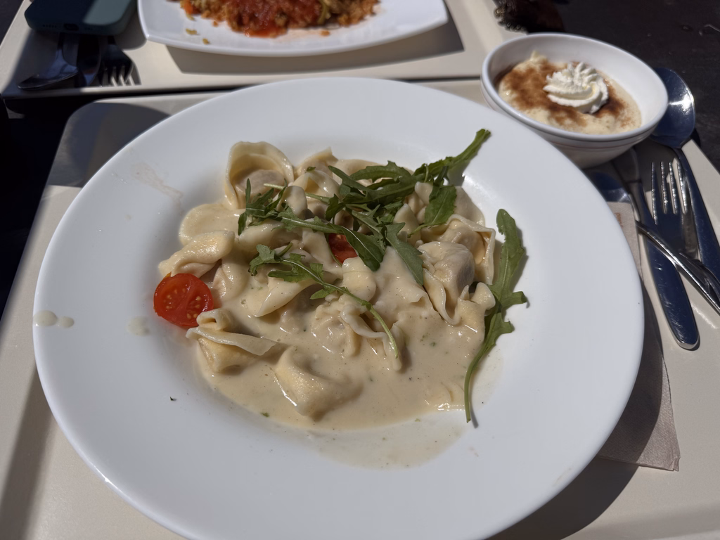 Vegane Tortelloni mit Gemüsefüllung mit veganer Bärlauchsoße