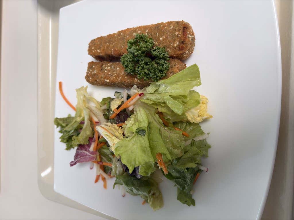 Vegane Sesam - Karotten - Knuspersticks mit Salatgarnitur
