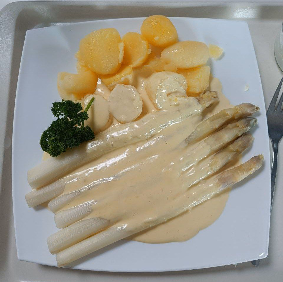 Eine Portion fränkischer Spargel mit Soße Hollandaise