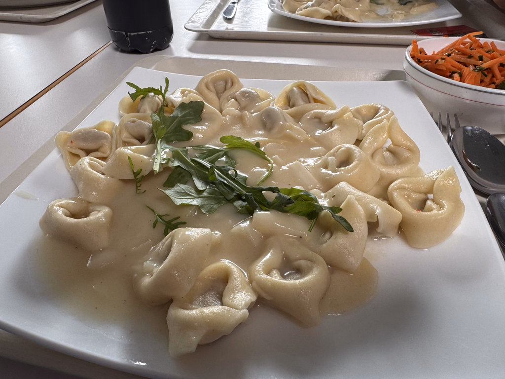 Vegane Tortelloni mit Gemüsefüllung mit veganer Spargelsoße