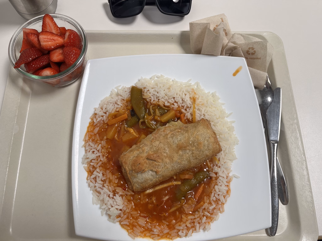 Frühlingsrolle Chop suey