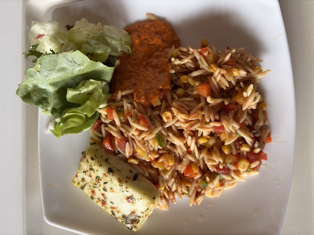 mensaVital: Gebratener Grillkäse mit Ajvarcreme und Kritharaki - Salat - Image 1