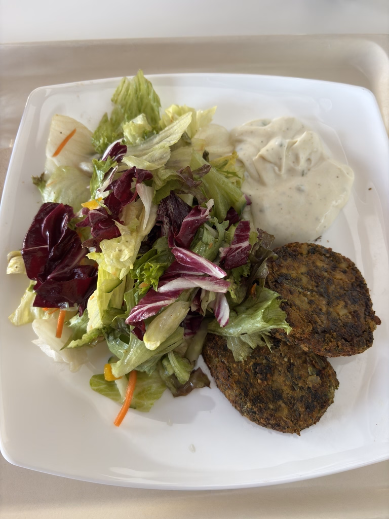 Sommerlicher Salatteller mit 2 Grünkohl - Hanfbratlingen und veganem Dip
