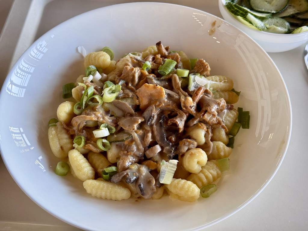Kartoffelgnocchi mit veganem Gemüse - Pfifferlingragout